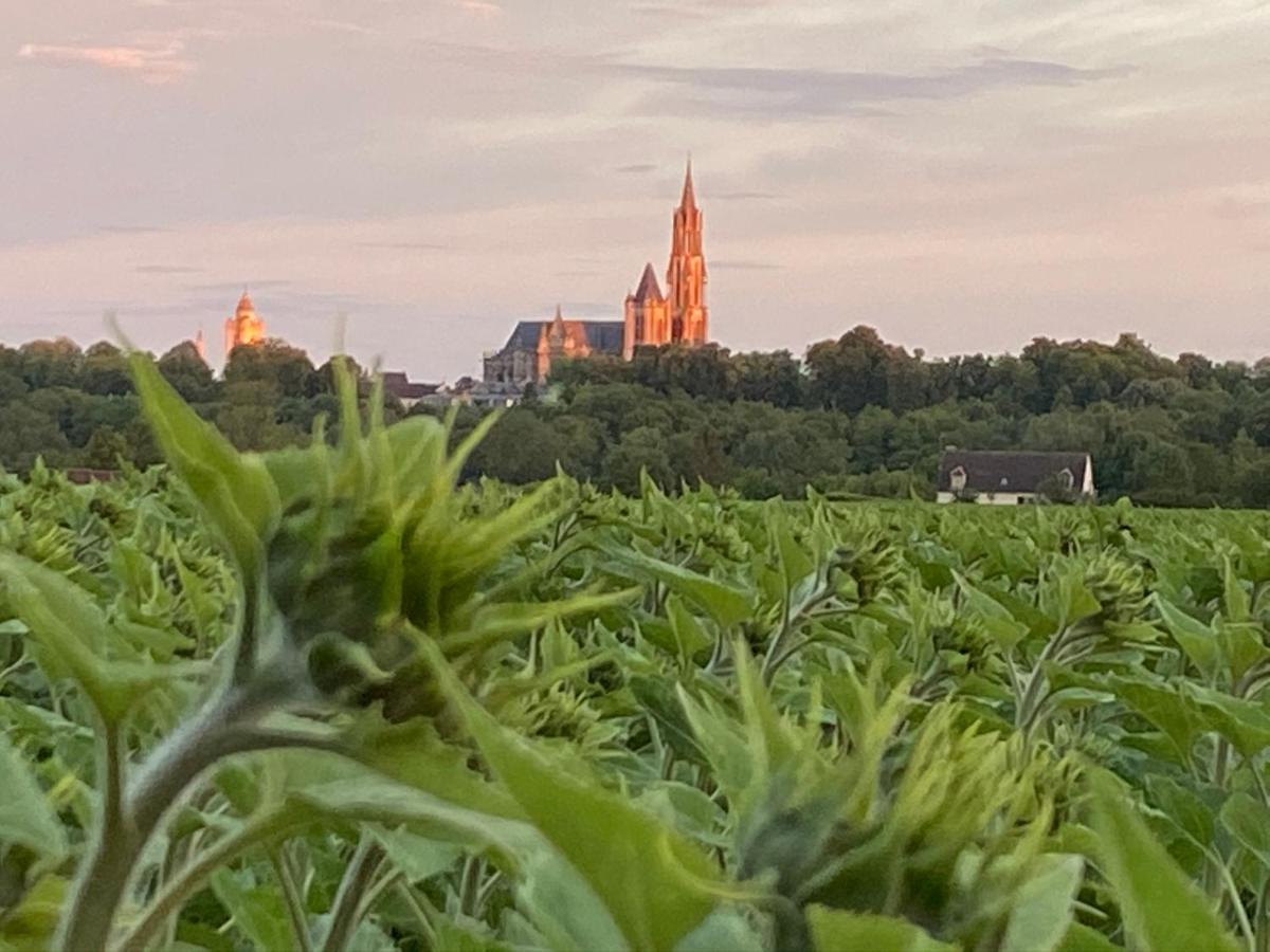 Maison De Campagne By La Boite En Plus Senlis  Eksteriør bilde